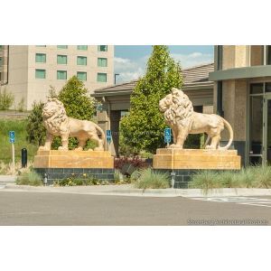 19_7_additional image.jpg image